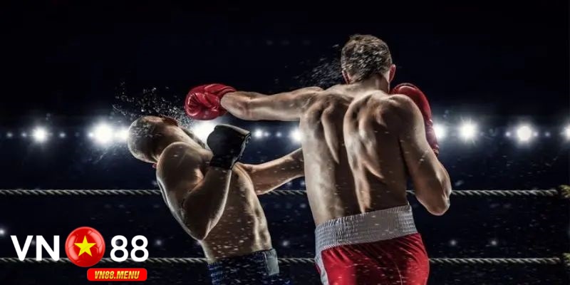 Các giải đấu boxing lớn được cung cấp tại vn88