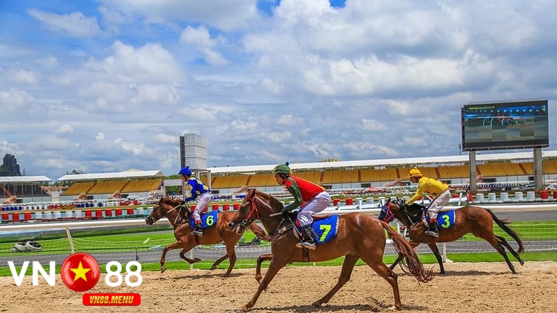 Hướng dẫn tham gia cược đua ngựa tại vn88